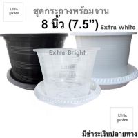 Little ชุดกระถางพร้อมจาน 8 นิ้ว (วัดจริงปากกว้าง 7.5 นิ้ว) 6 นิ้ว กระถางแคคตัส (สีดำเงาA+?)(สีขาวออร่าA+?)(สีใสพิเศษA+?)