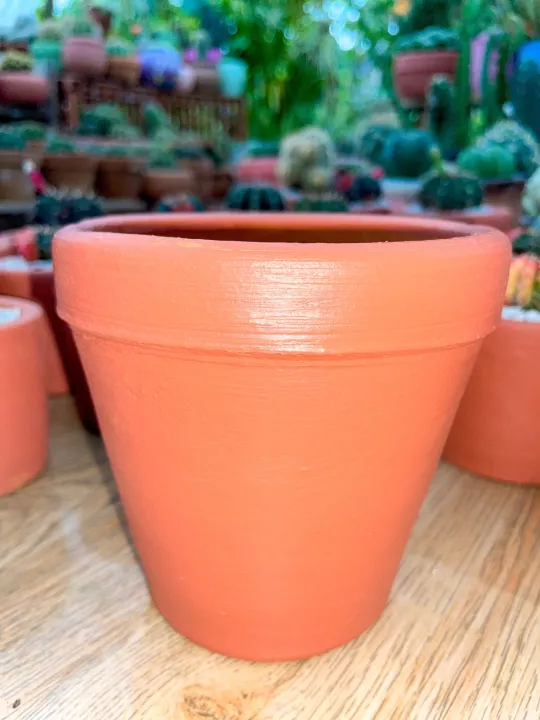 Classic Claypots 4.5x4.5inch Lazada PH