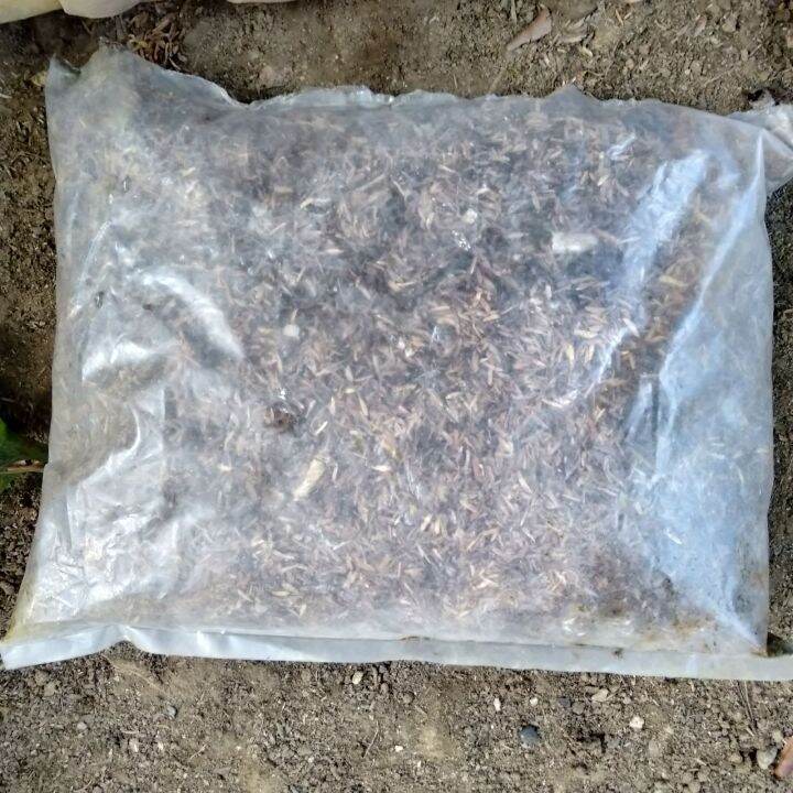 Composted Rice Hull (Bulok na Ipa) + Pig Manure (1 kg) [PATABA LUPA ...