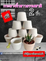 กระถางจิ๋ว2"ขาวธรรมชาติยกโหล12ใบ/แถมฟรีตุ๊กตาจัดสวน2ตัว