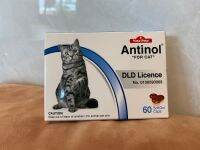 ร้านนี้ของแท้ 100% 1 กล่อง Antinol For Cats 60 gel caps อาหารเสริมสร้างภูมิคุ้มกัน ในแมว