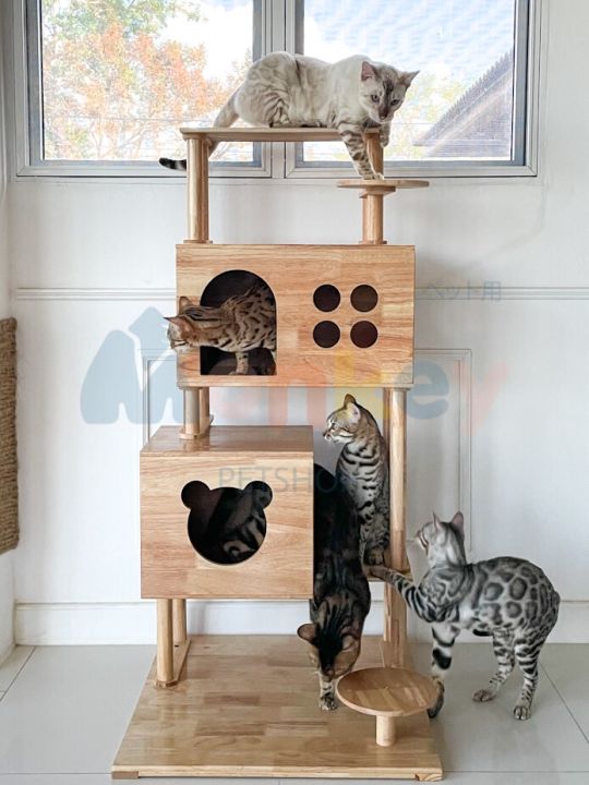 คอนโดแมวใหญ่-cat-condo-125-cm-4-ชั้น-คอนโดไม้ยางพาราทั้งหลังเคลือบ-polyurethane-ไม่บวมน้ำ-กันรา-ที่นอนแมวใหญ่-กล่องแมว-งานช่างไม้ไทย-monkey