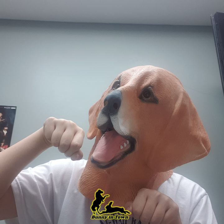 [พร้อมส่ง] หน้ากากหมา หน้ากากแฟนซี หน้ากากสัตว์ Fancy dog mask