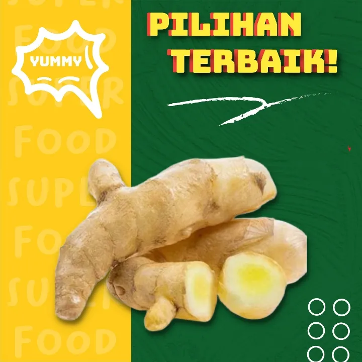 Herbal Curcuma Zedoaria Segar 1kg Kunyit Putih Temu Kunir Lazada Indonesia 4824