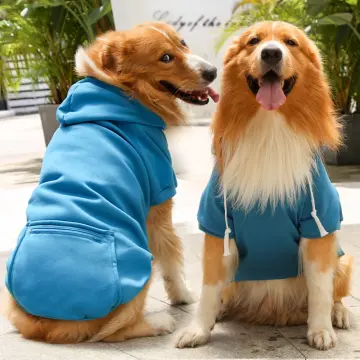 Large Dog Gucci Clothes Labrador Golden Retriever Thin Clothes Anti-Hair  Fall Winter Clothes