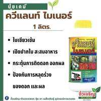 ควีแลนท์ ไมเนอร์ (1ลิตร) เปิดปากใบสะสมอาหาร เพิ่มประสิทธิภาพการแทงช่อดอก กระตุ้นการติดดอกออกผล ปรับปรุงคุณภาพผล