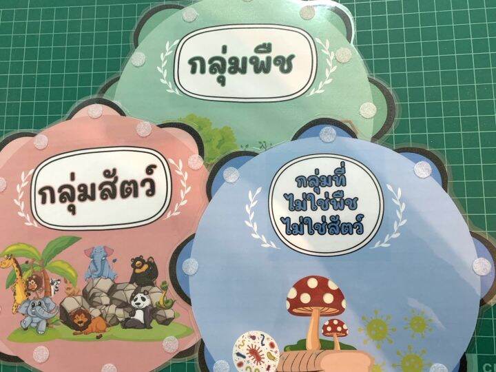 สื่อการสอนวิทย์-วงล้อจับคู่การจัดกลุ่มสิ่งมีชีวิต-ใช้ตีนตุ๊กแกติด