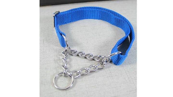 Guardian gear martingale outlet dog collar