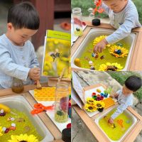 Bee life cycle Sensory play วงจรชีวิตผึ้ง วงจรชีวิตสัตว์