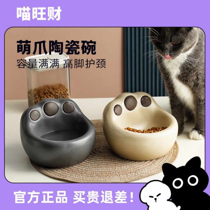 Cat Sticker Biểu tượng cảm xúc Hài hước  mèo vui mùa thu png tải về  Miễn  phí trong suốt Phim Hoạt Hình png Tải về