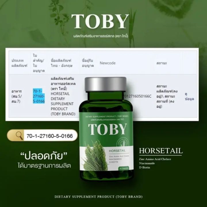 toby-horsetail-ผลิตภัณฑ์ดูแล-ผิว-ผม-เล็บ-ลดการขาดหลุดร่วง-กระตุ้นการเกิดใหม่ของเส้นผม