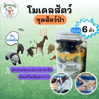 โมเดลสัตว์ ของเล่นโมเดลสัตว์ป่า ชุด 6 ตัว เสริมพัฒนาการ กิจกรรมแนวมอนเตสซอรี่ sensory play sensory bin