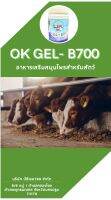 OK Gel - B700 อาหารเสริมสำหรับสัตว์