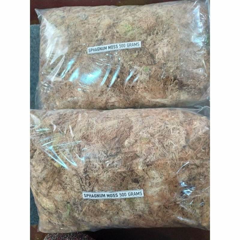 New Zealand Long Fiber Sphagnum Moss Briquettes 100g 8L Classic/AA Grade