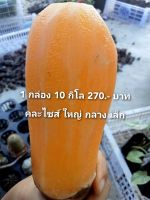 1 กล่องมี 10 กิโลกรัม 270 บาท บัวหิมะสดดอยอ่างขางที่อร่อยที่สุดในประเทศไทยเจ้าของสวนปลูกเองขายเอง