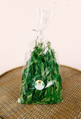 Fresh Indian Curry leaves ใบสดหอมแขก ใบกะหรี่สด