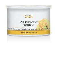 GiGi All Purpose Honee Soft Wax / จีจี้ ออล เพอร์โพส ฮันนี่ ซอฟ แว็กซ์ / Hot Wax USA เเว็กซ์ร้อน