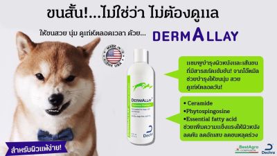 Dermallay oatmeal shampoo 355 มล. แชมพูสำหรับสุนัขแชะแมวสูตรอ่อนโยน บำรุงผิวหนังและขน