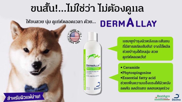 dermallay-oatmeal-shampoo-355-มล-แชมพูสำหรับสุนัขแชะแมวสูตรอ่อนโยน-บำรุงผิวหนังและขน