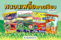 ชุดตายเรียบสุดคุ้ม กำจัดหนอน เพลี้ย ไข่??อีมาเรด 100g(อีมาเมกติน) + ไทอะมีทอกแซม 100g + ไดฟูเกะ 100g (ไดฟลูเบนซูรอน) + สารเสริมประสิทธิภาพคุณภาพสูง ตูซ่าส์80 100ml. กำจัดหนอนทุกชนิด แมลงปากดู รวมถึงไข่หนอนไข่เพลี้ย