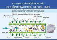 ไส้กรองUFสแตนเลสกองละเอียด 0.01 ไมครอนกำลังการผลิต 6,000 ลิตรต่อชั่วโมง