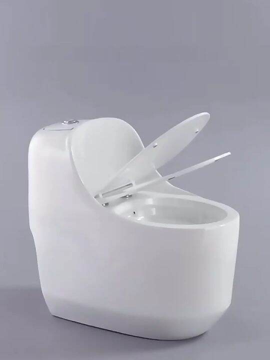 Water closet Household toilet Siphon flushing Water Closet Toilet