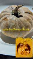 เมล็ดพันธุ์ฟักทองเนื้อหนา 50 เม็ด