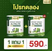 ? 1 แถม 1 ? ส่งฟรี ‼️ ยูมิโกะ วีทกราส อัลฟาฟ่า คลอโรฟิลล์ ไฟเบอร์ ดีท็อก ลำไส้ สารพิษ ปริมาณ 200 กรัม Wheatgrass Alfalfa yumiko 200 g