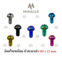 น็อตไทเทเนี่ยม หัวซาลาเปา ขนาดเกลียว m5 ยาว 12 mm.