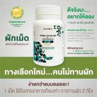 ( 1กป. 30เม็ด ) Wheatgrass Alfalfa Extract Multi Plus คลอโรฟิลล์สกัดเย็นเสริมภูมิคุ้มกัน