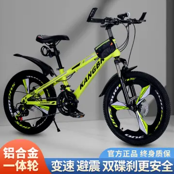 How big of a bike 2024 for a 10 year old