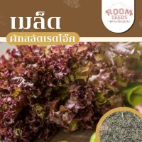 เมล็ดพันธุ์ สลัดเรดโอ๊ค 100 เมล็ด [10แถม1] คละได้