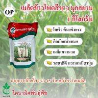 เมล็ดพันธุ์ข้าวโพดข้าวเหนียวสีขาว มุกสยาม ตรา ใบไม้ ขนาด 1 กก. จำนวน 1 ซอง จาก ไดนามิคพันธุ์พืช White Waxy Corn seeds (Mook Siam) 1 kg from Dynamic Seeds