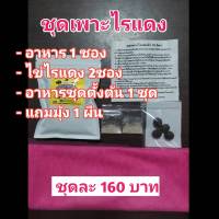 ชุดพร้อมขยาย160฿..1อาหาร1ซอง..2ไข่ไรแดง2ซอง..3.แถมมุ้ง1ผืน..4.แถมอาหารชุดตั้งต้น1ชุด