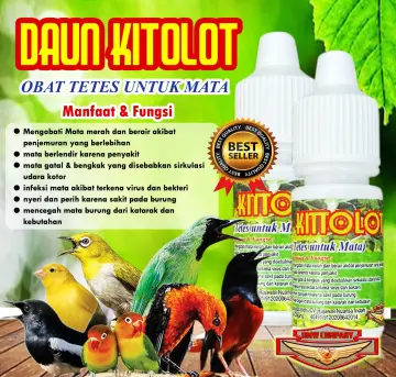 Jual Obat Mata Burung Arak Terbaru Mar 2024 Lazada .id