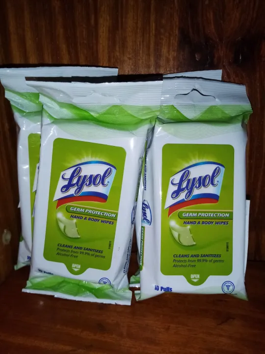 LYSOL Hand and Body Wipes Lazada PH