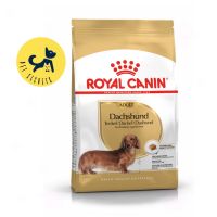 Royal Canin Dachshund Adult 1.5 kg. อาหารเม็ด สำหรับสุนัขโต พันธุ์ดัชชุน อายุ 10 เดือนขึ้นไป