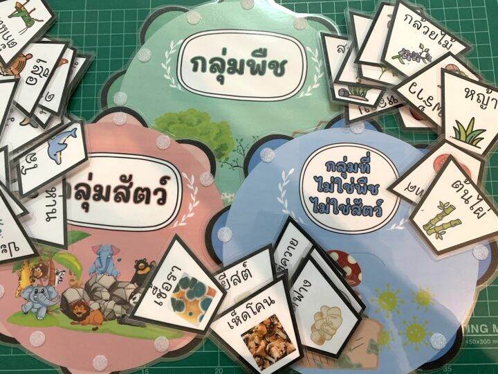 สื่อการสอนวิทย์-วงล้อจับคู่การจัดกลุ่มสิ่งมีชีวิต-ใช้ตีนตุ๊กแกติด