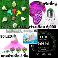 ไฟเล็กพริกขี้หนู 80 LED เห็นดวงเท่านี้ให้ความสว่างได้ถึงเกือบ 6,000



รุ่นพิเศษ มีระบบระบายความร้อนในตัน



ตัวเม็ดไฟ LED เป็นแบบระบบใหม่ ☘️ แถมป้ายชื่อเขียนพันธุ์ต้นไม้ มีให้ถึง 3 สี เขียว แดง เหลือง จำนวนได้ถึง 3 ชิ้น