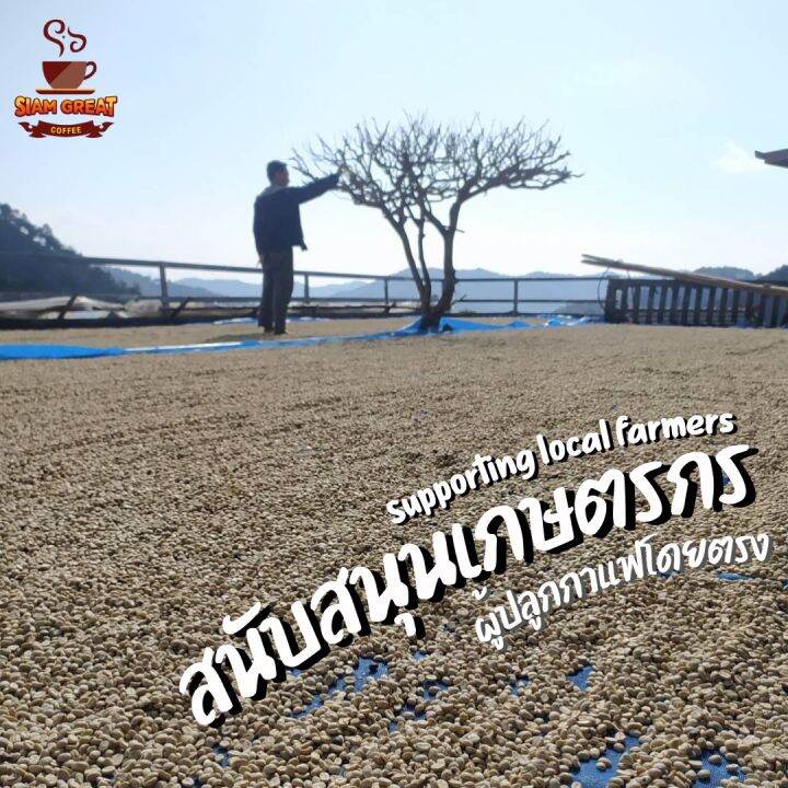 ลดจัดหนัก-เมล็ดกาแฟคั่ว-arabica-น่าน-full-city-ดอยสวนยาหลวง-500-g-250g-x-2ถุง-คั่วกลาง