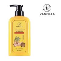 VANEKAA GINGER HAIR SHAMPOO วานีก้า จิงเจอร์ แฮร์ แชมพู ขนาด 500ml