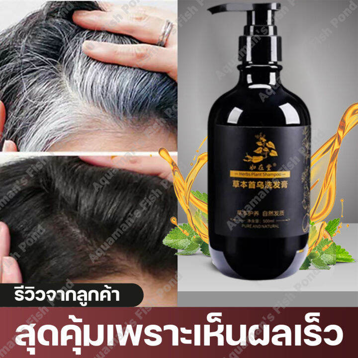 500ml ยาสระแก้ผมหงอก แชมพูปิดผมหงอก สูตรสมุนไพร บำรุงผมให้มีสุขภาพดี ผมเงาดำ สีไม่หลุด สีติดเป็นธรรมชาติ (แชมพูปิดหงอก แชมพูแก้ผมร่วง แชมพูปิดผมหงอก ยาสระผมดำถาวร แชมพูสมุนไพรจีน ผมหงอกกลับมาดำ แขมพูปิดผมขาว แชมพูเหอโส่วอู ยาสระผมสมุนไพร แชมพูสมุนไพร ... 500Ml ยาสระแก้ผมหงอก แชมพูปิดผมหงอก สูตรสมุนไพร บำรุงผมให้มีสุขภาพดี ผมเงาดำ สีไม่หลุด สีติดเป็นธรรมชาติ (แชมพูปิดหงอก แชมพูแก้ผมร่วง แชมพูปิดผมหงอก ยาสระผมดำถาวร แชมพูสมุนไพรจีน ผมหงอกกลับมาดำ แขมพูปิดผมขาว แชมพูเหอโส่วอู ยาสระผมสมุนไพร แชมพูสมุนไพร ...