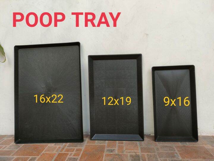 12x19 poop tray, poop tray 12x19,tray, poop tray, poop tray for bird cage Lazada PH