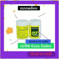 เมล็ดพันธุ์ผักสลัดแบบเคลือบแบ่งขาย 20 เมล็ด บัตเตอร์เฮด (Butterhead) สายพันธุ์ออติเกียร์ (Volare)