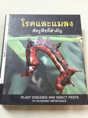 โรคและแมลงศัตรูพืชที่สำคัญ - พิสุทธิ์ เอกอำนวย - พิมพ์ 2553 ปกแข็ง หนา  592 หน้า