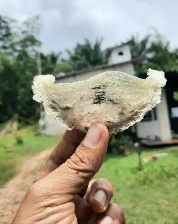 S72fd17adb5054cb0bdaed46eafe9a20dt.jpg_7