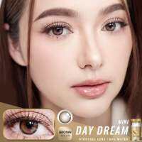 เลนส์ฝาทอง Day dream สีน้ำตาลและสีเทา ขนาดกลาง 14.5