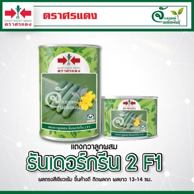 แตงกวา ธันเดอร์กรีน 2 🥒(ตรา ศรแดง🔺) ขนาด 100 และ 50 กรัม ลูกเขียว ติดผลดก