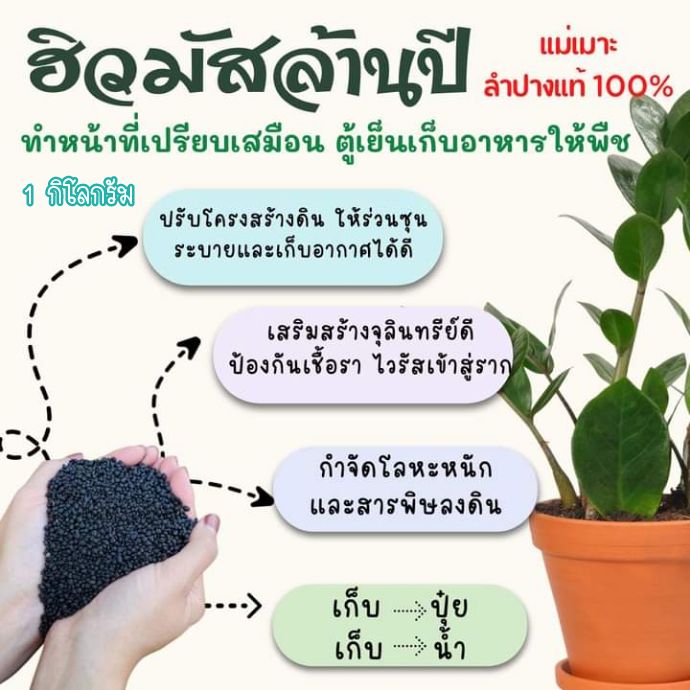 ฮิวมัสบำรุงดิน-สารธรรมชาติ100-แพคละ-1-กก