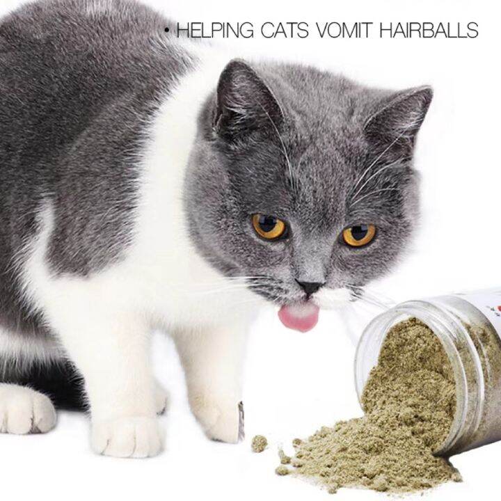 Cat Treat Catnip Powder Lazada PH